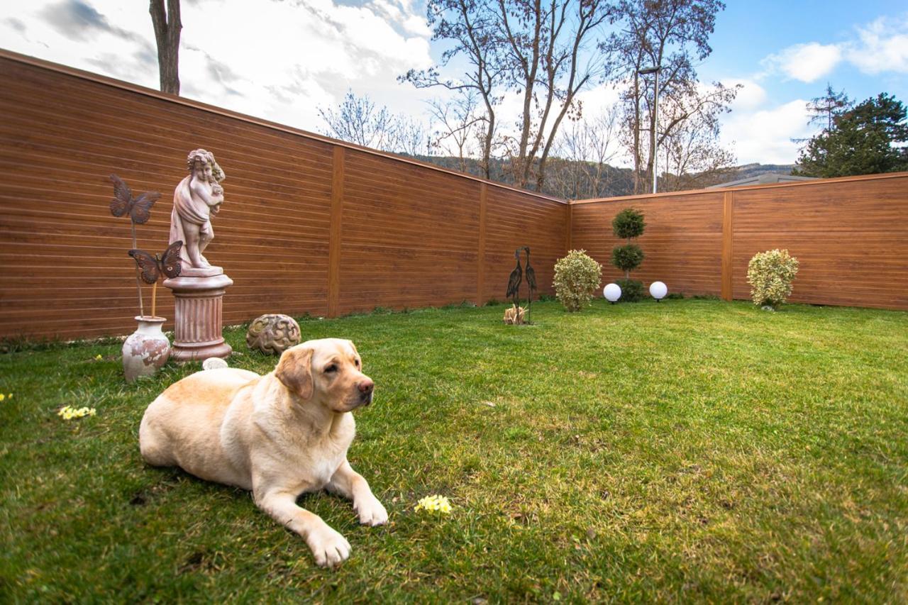 Auszeit Steiraland 3 Mit Ueberdachter Terasse Privatem Garten Und Gratis Parkplatz Apartment