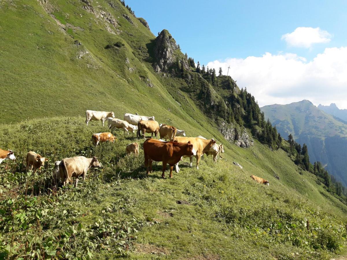 Auszeit Steiraland 3 Mit Ueberdachter Terasse Privatem Garten Und Gratis Parkplatz * Leoben (Styria)